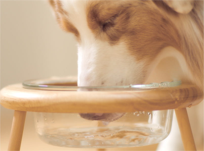 frecious dewoⅱ使用イメージ