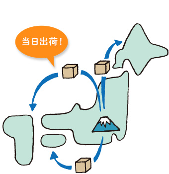 追加注文も最短当日発送