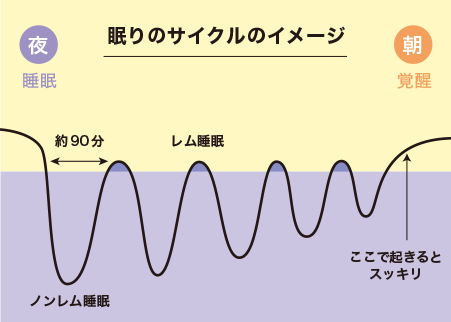 眠りのサイクル