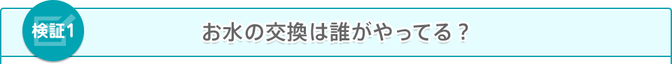 お水の交換は誰がやってる？