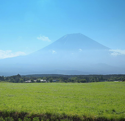 FRECIOUS朝霧高原