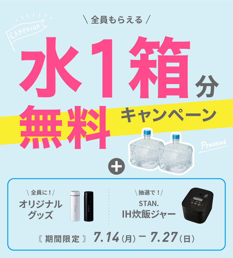 初月0円セットキャンペーン