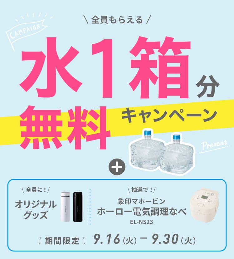 初月0円セットキャンペーン