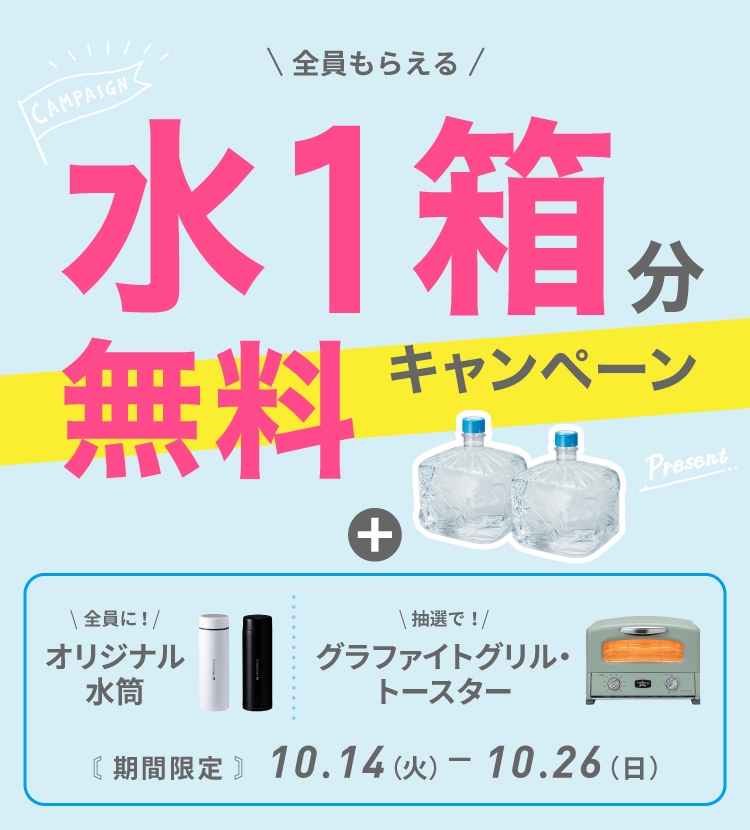 初月0円セットキャンペーン