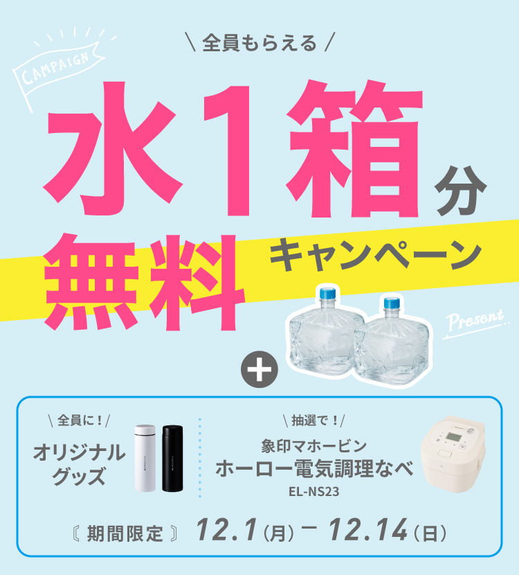 初月0円セットキャンペーン