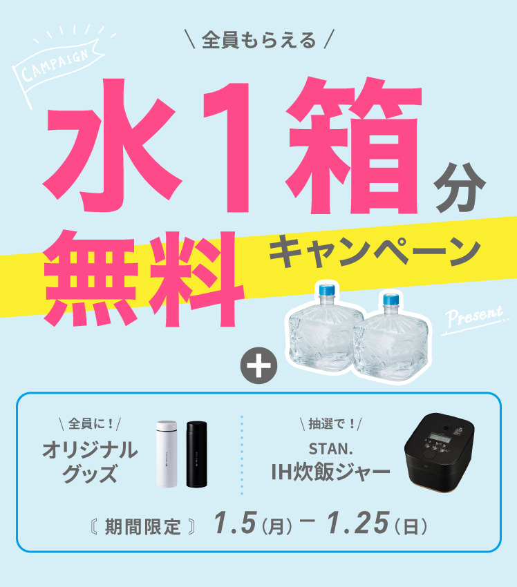 初月0円セットキャンペーン