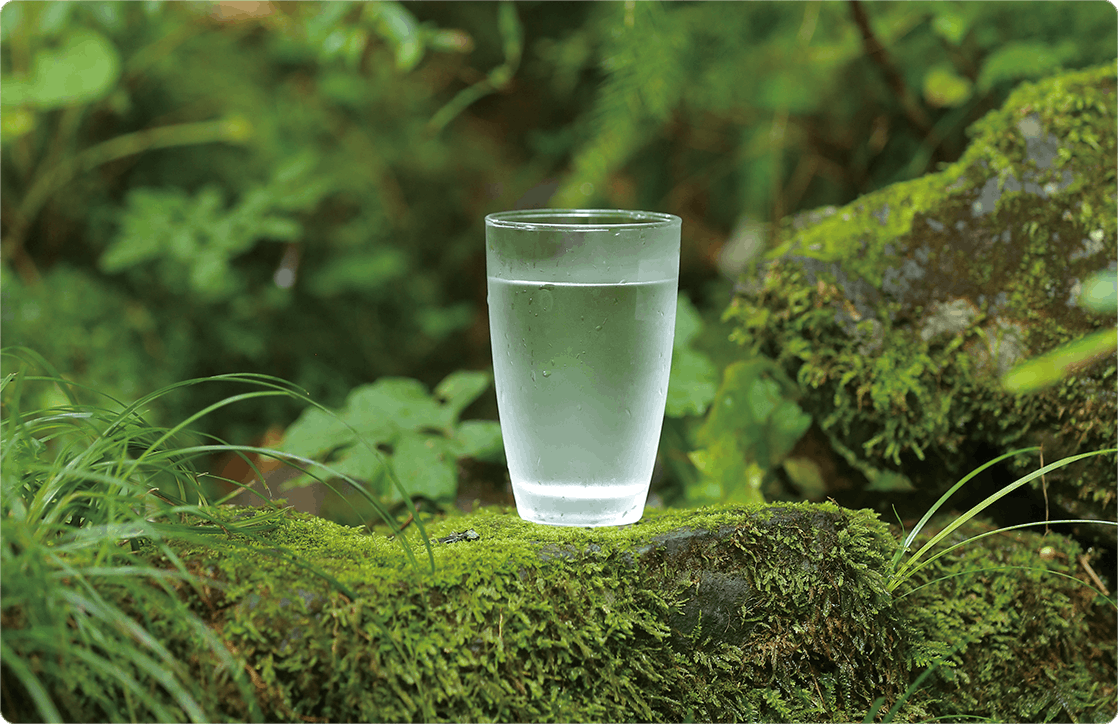 天然水】新しくなった” FRECIOUS dewoⅱ（フレシャス・デュオツー