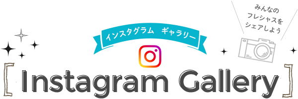 Instagram Gallery