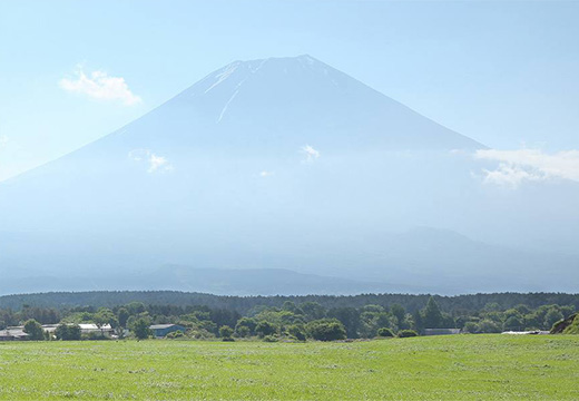 バナジウム含有量180μgの天然水