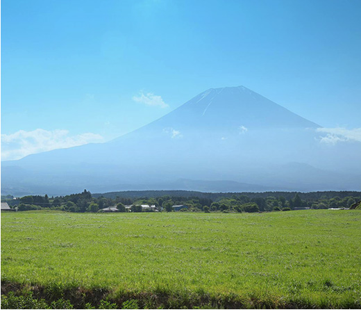 FRECIOUS朝霧高原