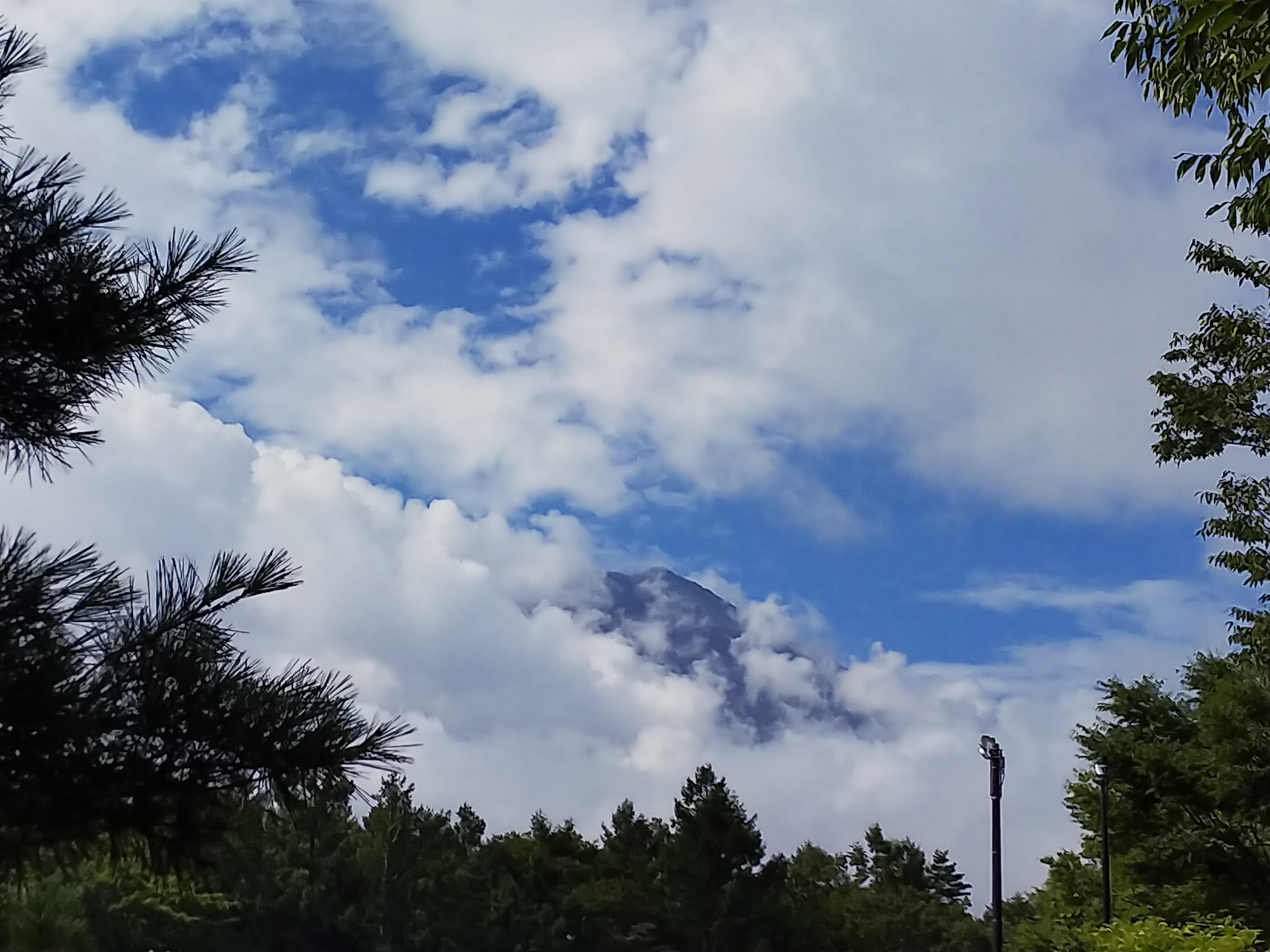 富士山の写真