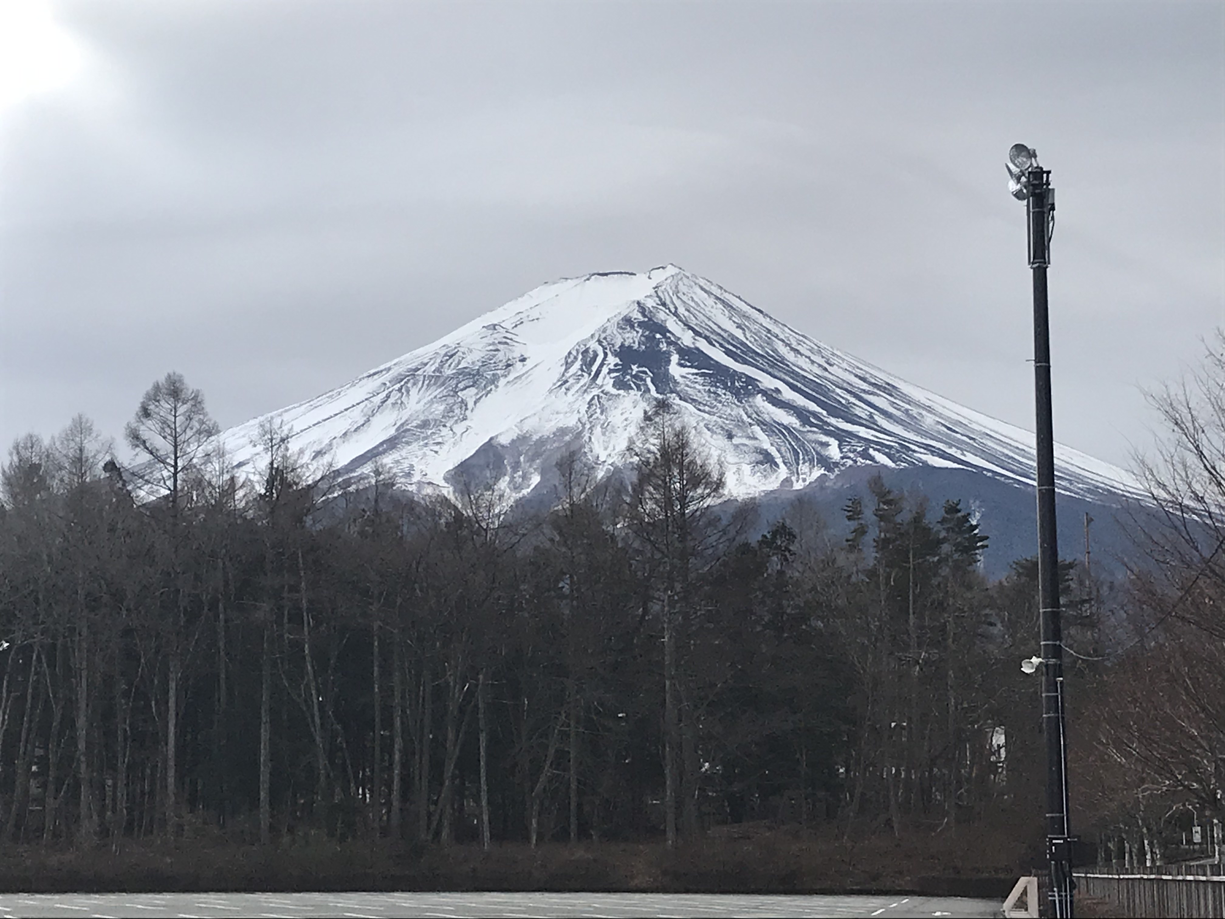 富士山の写真