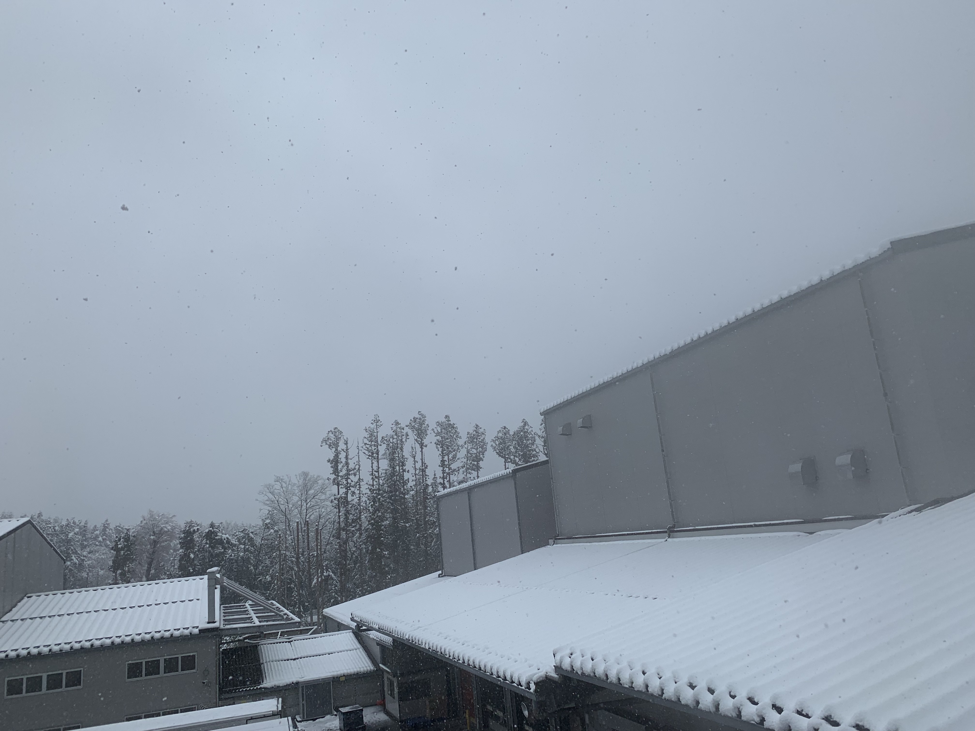フレシャス工場での降雪の様子