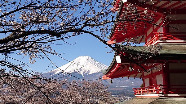 浅間公園からみた富士山と桜と塔