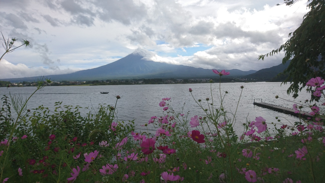 河口湖湖畔から望む富士山