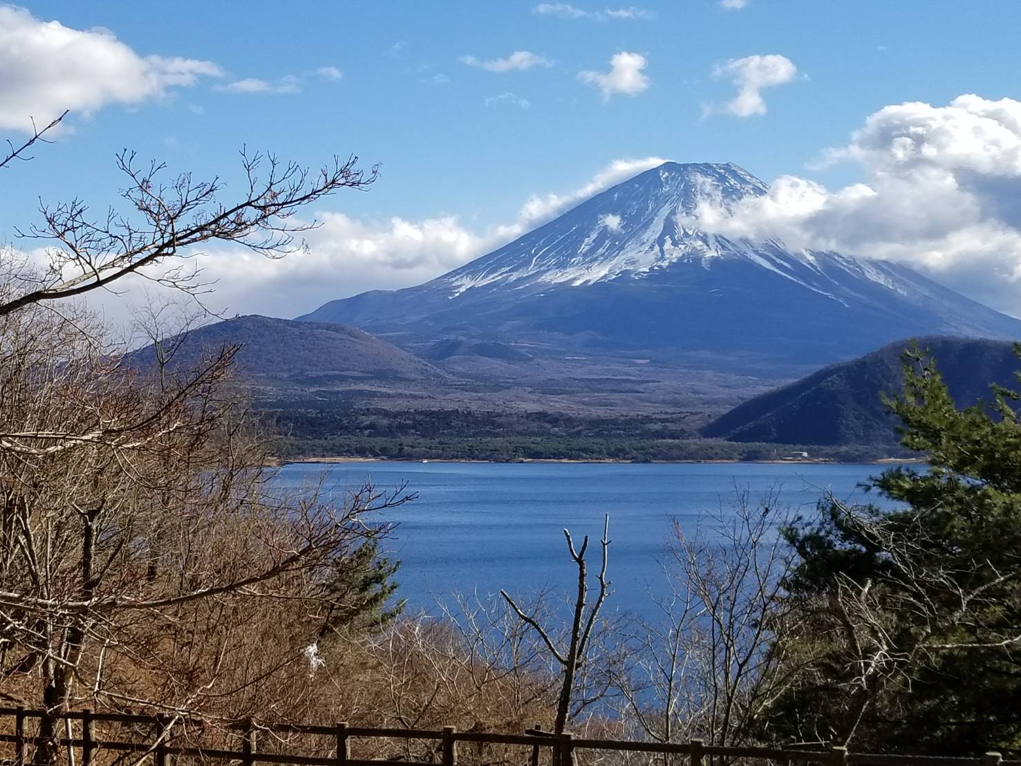 本栖湖「湖畔の春」の富士山