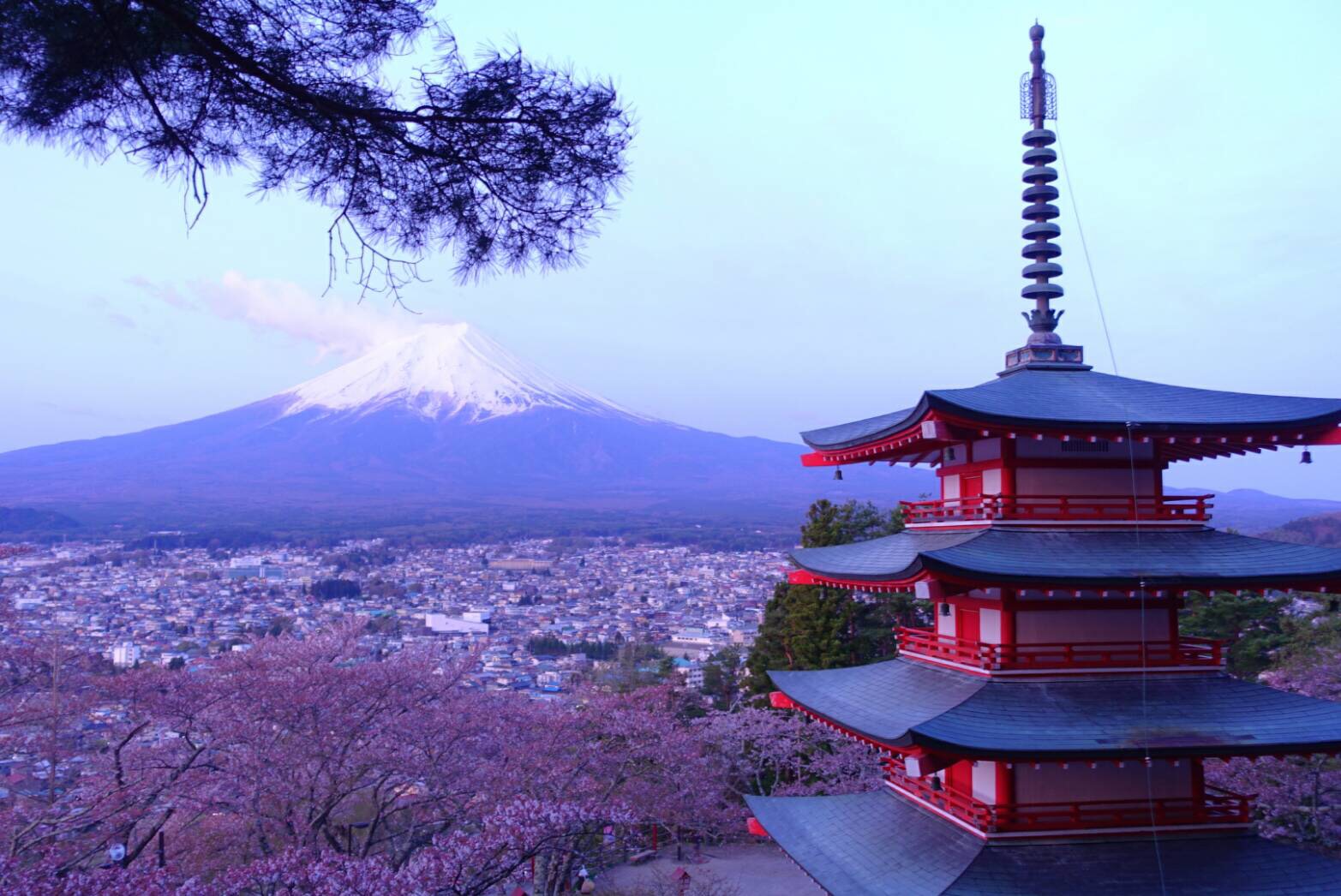 桜の季節に浅間公園から望む富士山