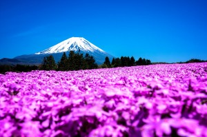 富士山