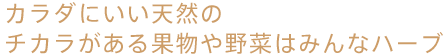 カラダにいい天然のチカラがある果物や野菜はみんなハーブ