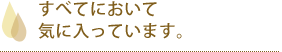 すべてにおいて気に入っています。