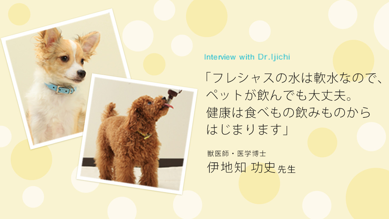 ペットと水について ウォーターサーバー特集 フレシャス公式