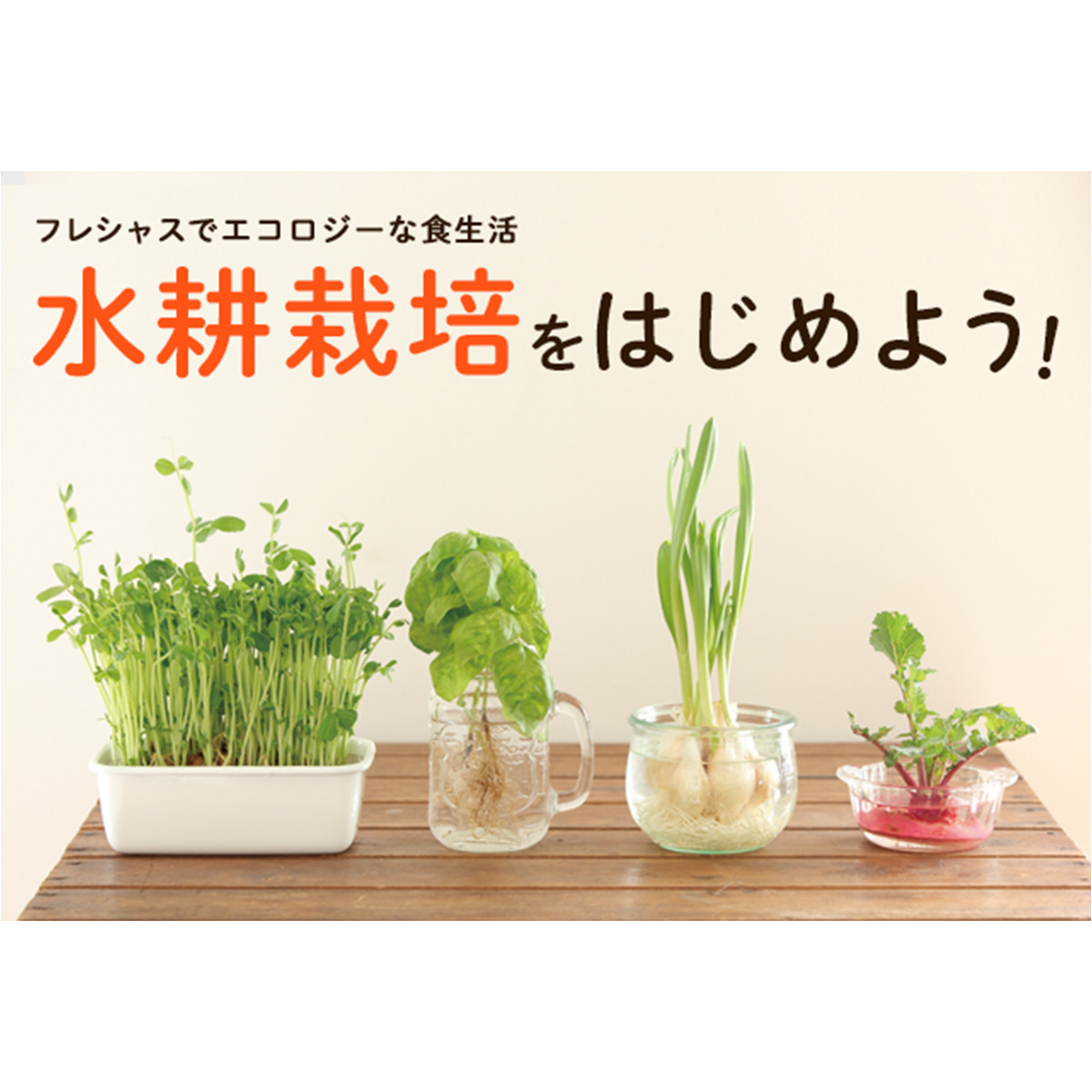 フレシャスでエコロジーな食生活 水耕栽培をはじめよう ウォーターサーバー特集 フレシャス公式
