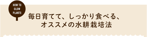 毎日育てて、しっかり食べる、オススメの水耕栽培法