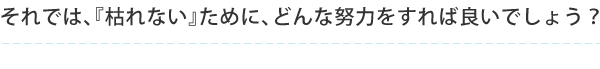 それでは、『枯れない』ために、どんな努力をすれば良いでしょう？