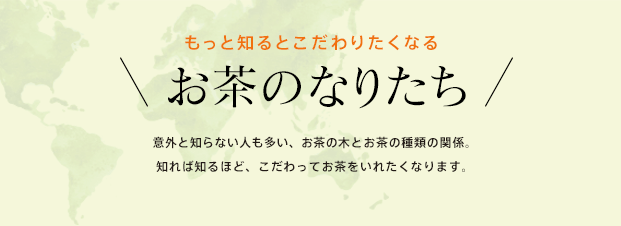 もっと知るとこだわりたくなるお茶のなりたち