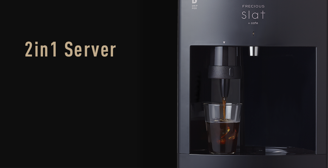 2in1server