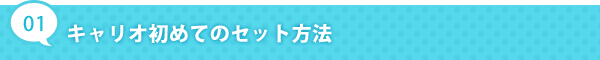 キャリオはじめてのセット方法