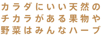 カラダにいい天然のチカラがある果物や野菜はみんなハーブ